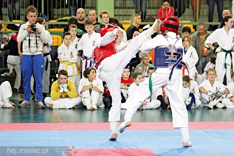 Otwarte Mistrzostwa Polski Południowej Full-Contact Karate