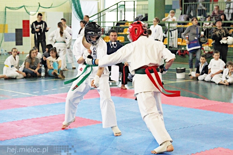 Otwarte Mistrzostwa Polski Południowej Full-Contact Karate