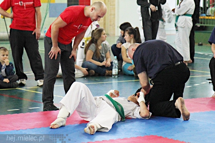 Otwarte Mistrzostwa Polski Południowej Full-Contact Karate