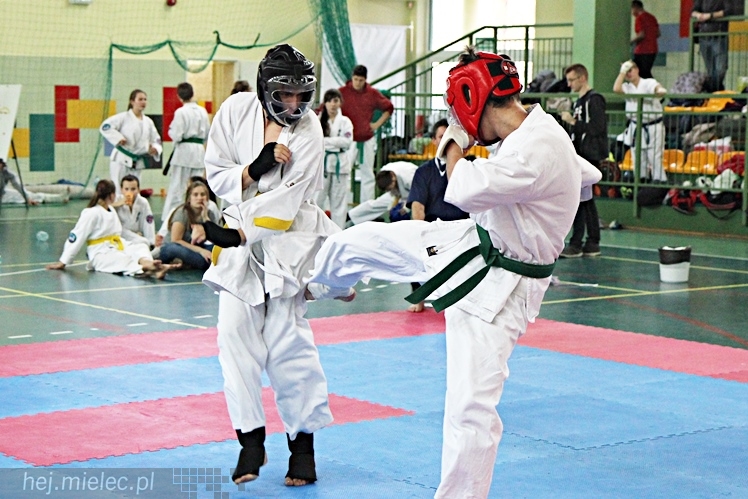 Otwarte Mistrzostwa Polski Południowej Full-Contact Karate