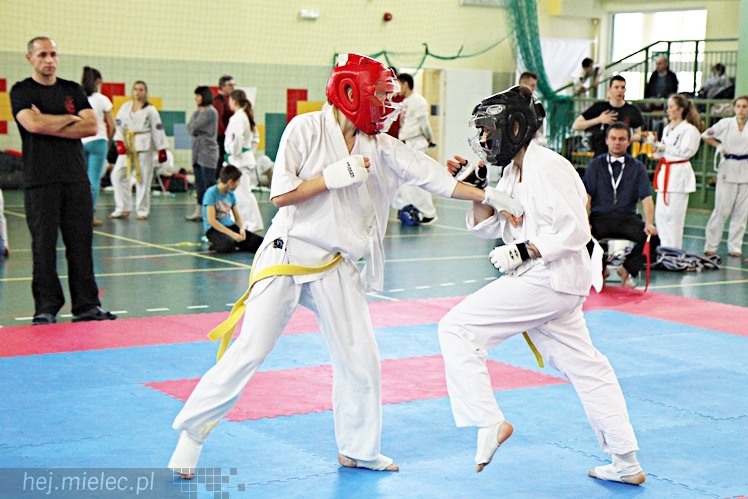 Otwarte Mistrzostwa Polski Południowej Full-Contact Karate