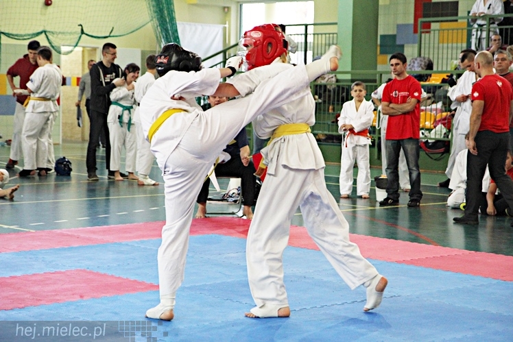 Otwarte Mistrzostwa Polski Południowej Full-Contact Karate