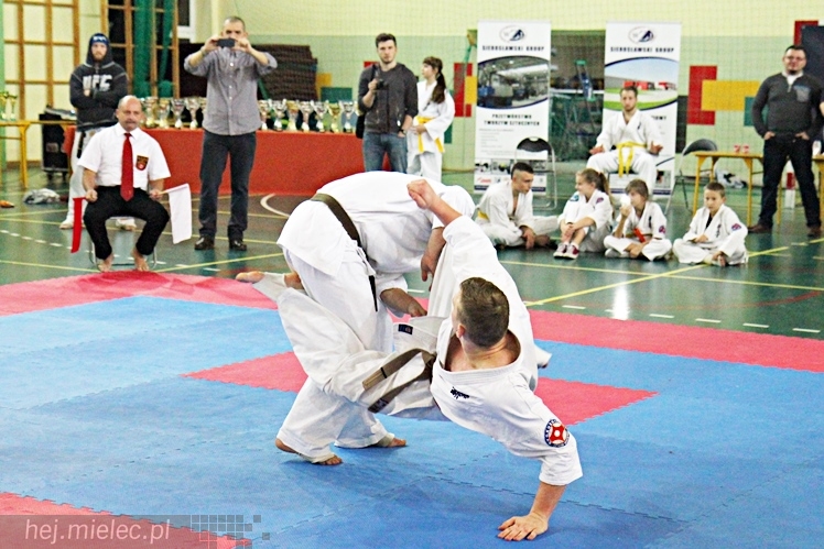 Otwarte Mistrzostwa Polski Południowej Full-Contact Karate