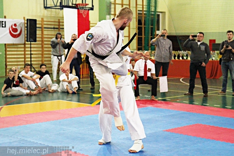 Otwarte Mistrzostwa Polski Południowej Full-Contact Karate