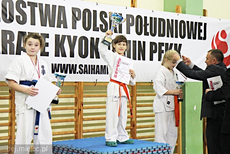 Otwarte Mistrzostwa Polski Południowej Full-Contact Karate
