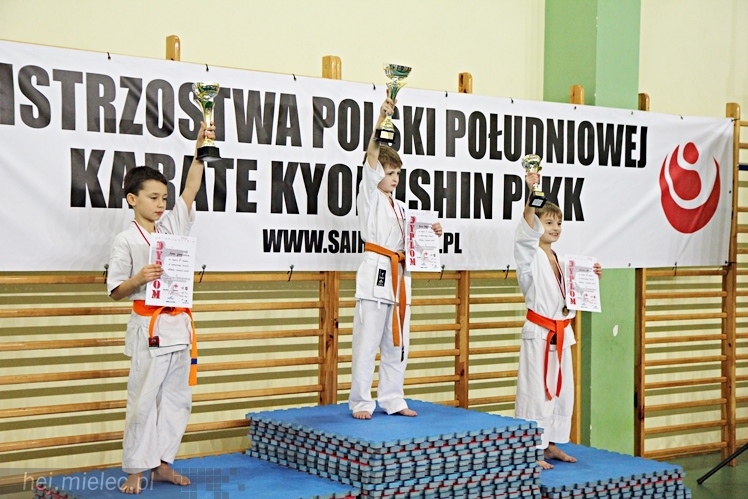 Otwarte Mistrzostwa Polski Południowej Full-Contact Karate
