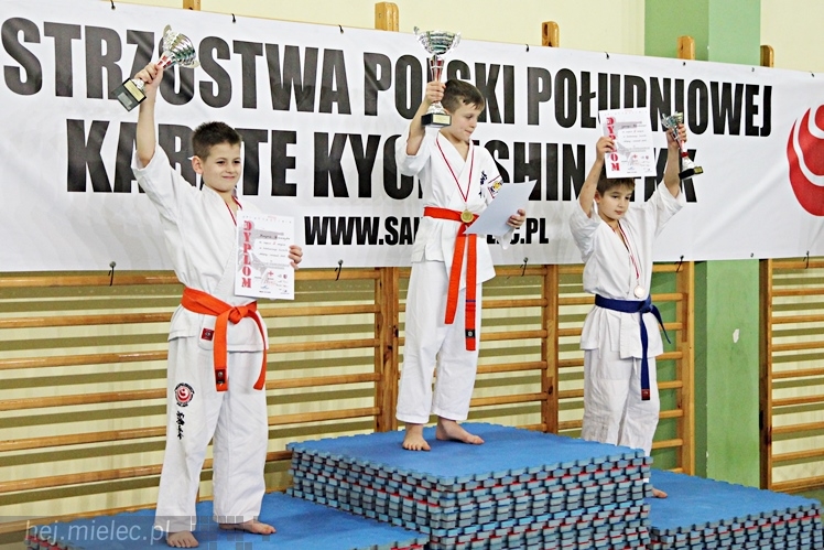 Otwarte Mistrzostwa Polski Południowej Full-Contact Karate