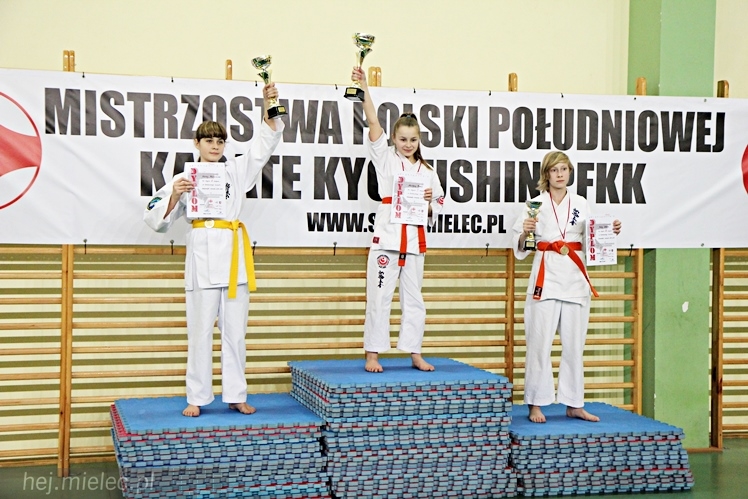 Otwarte Mistrzostwa Polski Południowej Full-Contact Karate