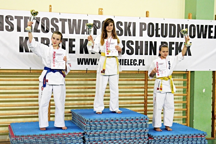 Otwarte Mistrzostwa Polski Południowej Full-Contact Karate