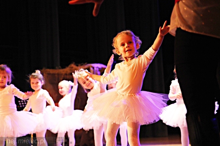 Animacje Bożonarodzeniowe - Koncert Charytatywny dla Filipka