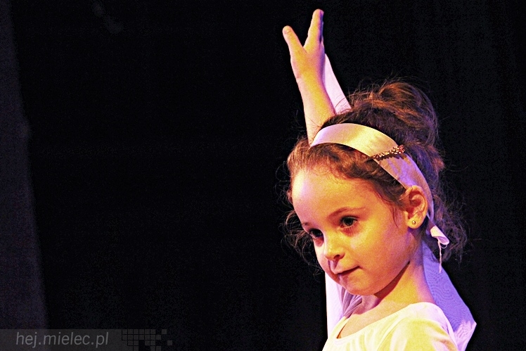 Animacje Bożonarodzeniowe - Koncert Charytatywny dla Filipka