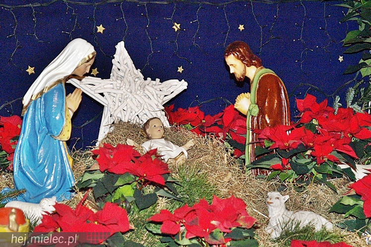 Żłóbki w mieleckich kościołach 2014