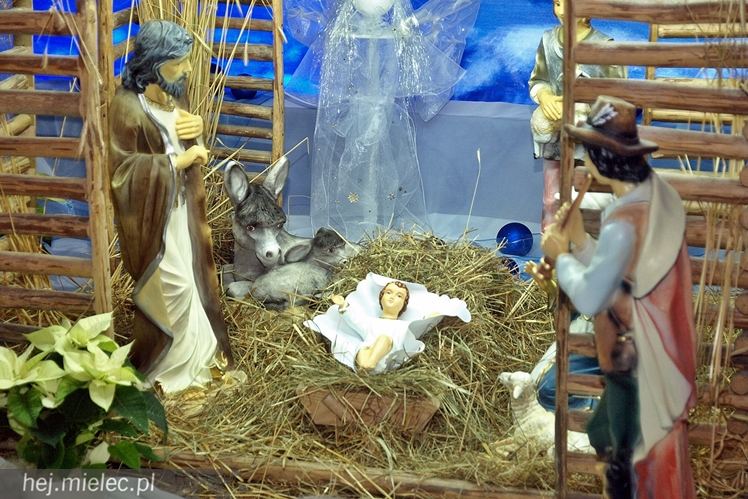 Żłóbki w mieleckich kościołach 2014