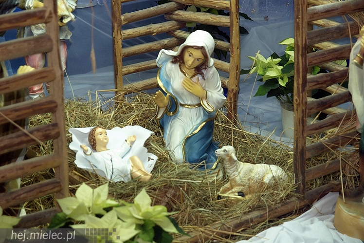 Żłóbki w mieleckich kościołach 2014