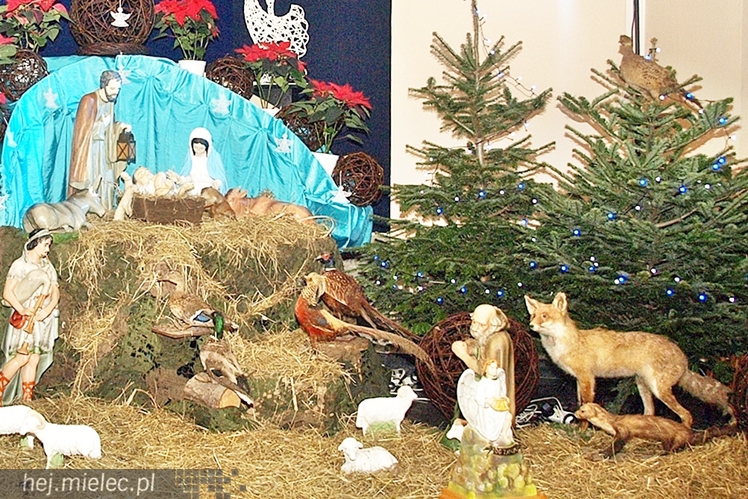 Żłóbki w mieleckich kościołach 2014