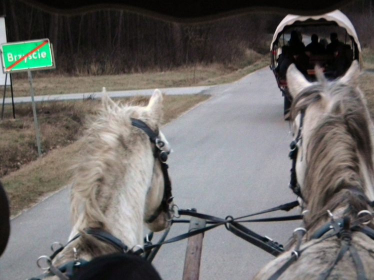 PTTK na wypadzie do Brzyścia