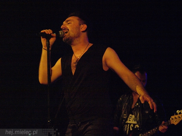 Wielki Rock dla Małych Serc: koncert Mateusza Ziółko dla szpitala w Prokocimiu