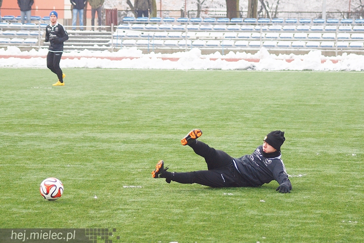 Wysokie zwycięstwo piłkarzy Stali w sparingu