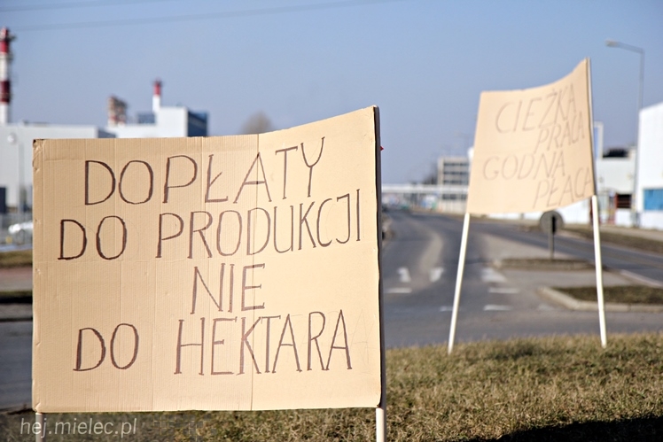 Kilkudziesięciu rolników protestowało na rondzie przy SSE Mielec