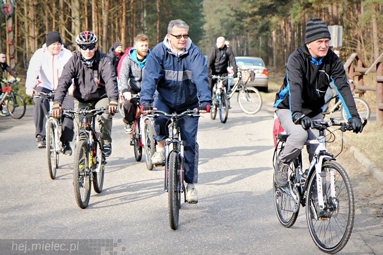 Symboliczne tabliczki Żołnierzy Niezłomnych odsłonięte. Szydłowieckie dęby pomnikami pamięci