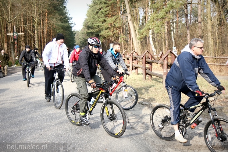 Symboliczne tabliczki Żołnierzy Niezłomnych odsłonięte. Szydłowieckie dęby pomnikami pamięci