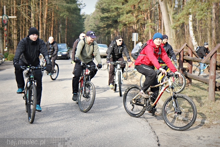 Symboliczne tabliczki Żołnierzy Niezłomnych odsłonięte. Szydłowieckie dęby pomnikami pamięci
