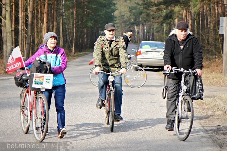 Symboliczne tabliczki Żołnierzy Niezłomnych odsłonięte. Szydłowieckie dęby pomnikami pamięci