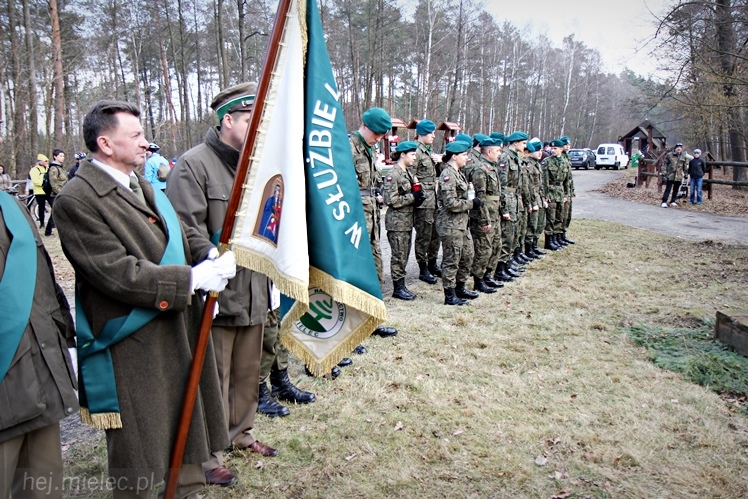 Symboliczne tabliczki Żołnierzy Niezłomnych odsłonięte. Szydłowieckie dęby pomnikami pamięci