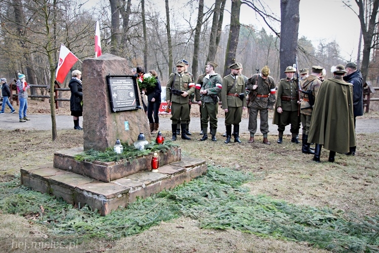 Symboliczne tabliczki Żołnierzy Niezłomnych odsłonięte. Szydłowieckie dęby pomnikami pamięci