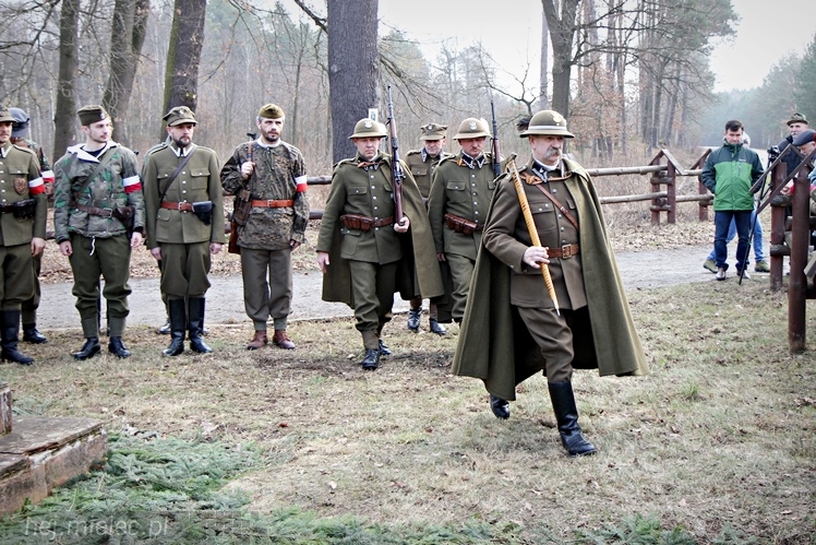 Symboliczne tabliczki Żołnierzy Niezłomnych odsłonięte. Szydłowieckie dęby pomnikami pamięci