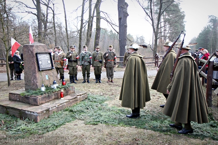 Symboliczne tabliczki Żołnierzy Niezłomnych odsłonięte. Szydłowieckie dęby pomnikami pamięci