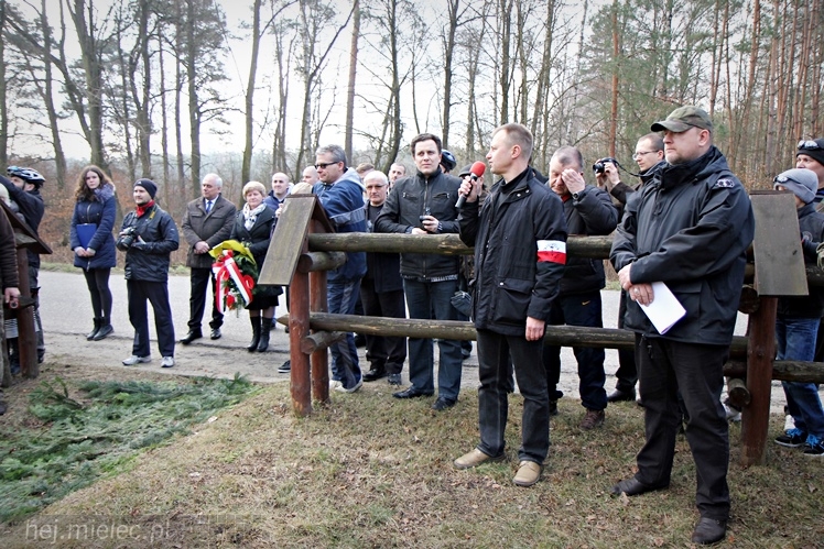 Symboliczne tabliczki Żołnierzy Niezłomnych odsłonięte. Szydłowieckie dęby pomnikami pamięci