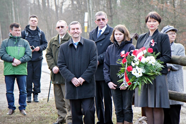 Symboliczne tabliczki Żołnierzy Niezłomnych odsłonięte. Szydłowieckie dęby pomnikami pamięci