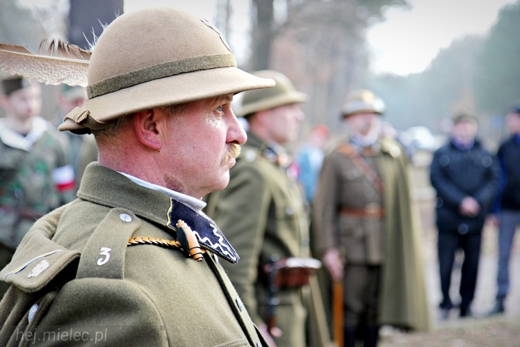 Symboliczne tabliczki Żołnierzy Niezłomnych odsłonięte. Szydłowieckie dęby pomnikami pamięci