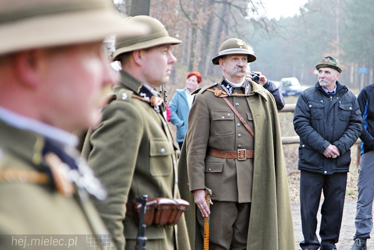 Symboliczne tabliczki Żołnierzy Niezłomnych odsłonięte. Szydłowieckie dęby pomnikami pamięci