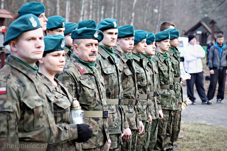 Symboliczne tabliczki Żołnierzy Niezłomnych odsłonięte. Szydłowieckie dęby pomnikami pamięci