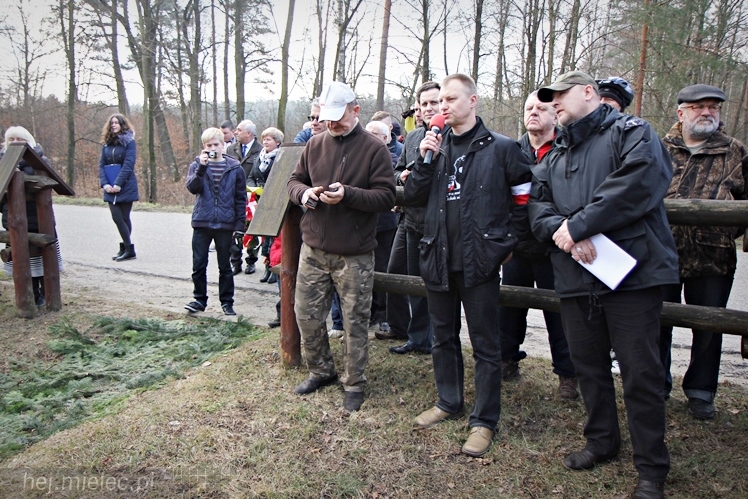 Symboliczne tabliczki Żołnierzy Niezłomnych odsłonięte. Szydłowieckie dęby pomnikami pamięci