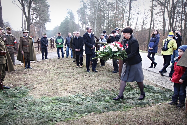Symboliczne tabliczki Żołnierzy Niezłomnych odsłonięte. Szydłowieckie dęby pomnikami pamięci
