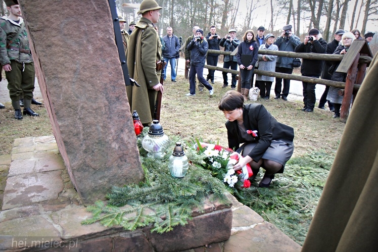Symboliczne tabliczki Żołnierzy Niezłomnych odsłonięte. Szydłowieckie dęby pomnikami pamięci