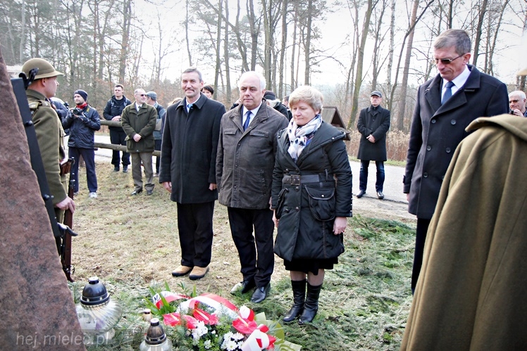 Symboliczne tabliczki Żołnierzy Niezłomnych odsłonięte. Szydłowieckie dęby pomnikami pamięci