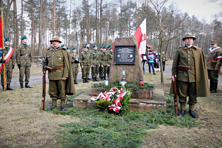 Symboliczne tabliczki Żołnierzy Niezłomnych odsłonięte. Szydłowieckie dęby pomnikami pamięci