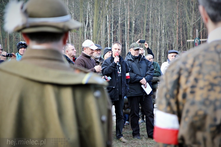 Symboliczne tabliczki Żołnierzy Niezłomnych odsłonięte. Szydłowieckie dęby pomnikami pamięci