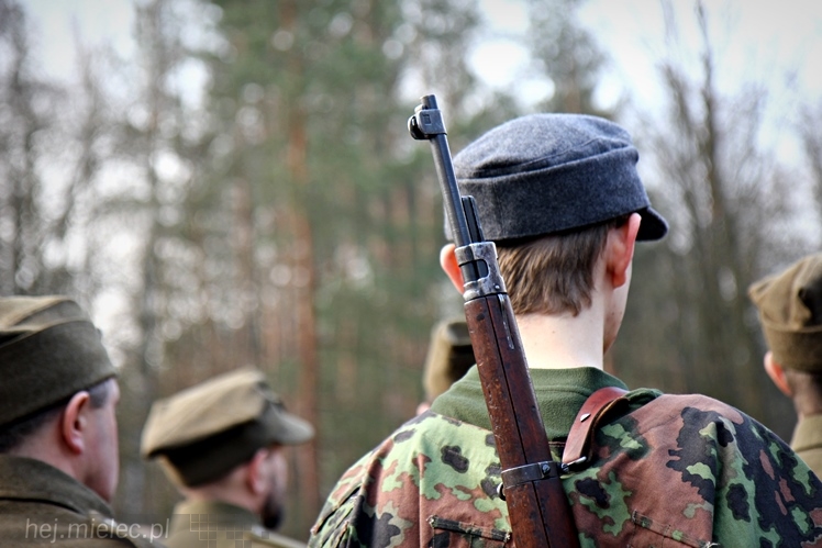 Symboliczne tabliczki Żołnierzy Niezłomnych odsłonięte. Szydłowieckie dęby pomnikami pamięci