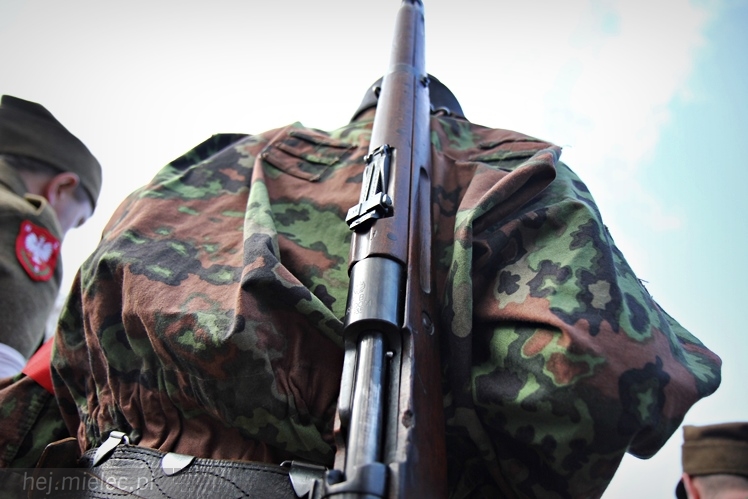 Symboliczne tabliczki Żołnierzy Niezłomnych odsłonięte. Szydłowieckie dęby pomnikami pamięci