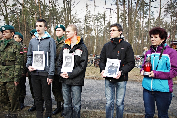Symboliczne tabliczki Żołnierzy Niezłomnych odsłonięte. Szydłowieckie dęby pomnikami pamięci