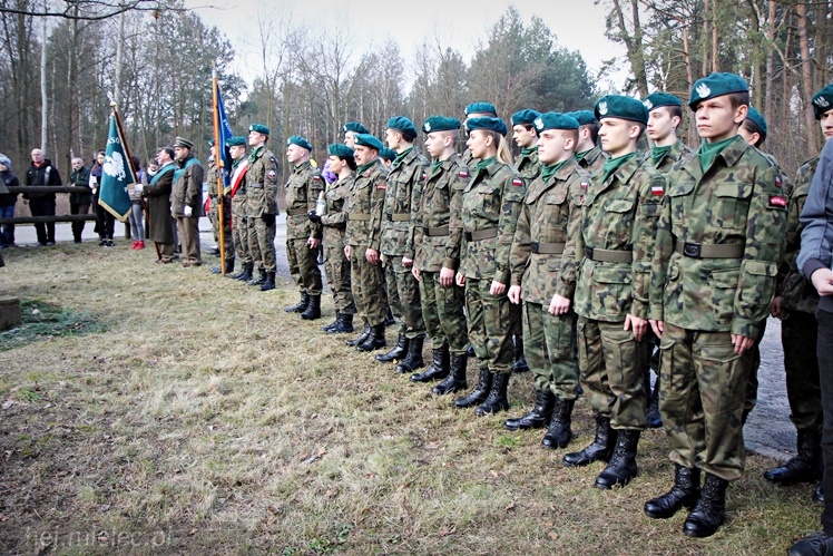 Symboliczne tabliczki Żołnierzy Niezłomnych odsłonięte. Szydłowieckie dęby pomnikami pamięci