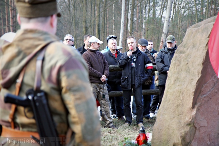 Symboliczne tabliczki Żołnierzy Niezłomnych odsłonięte. Szydłowieckie dęby pomnikami pamięci