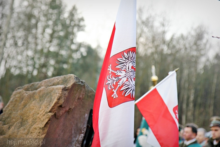 Symboliczne tabliczki Żołnierzy Niezłomnych odsłonięte. Szydłowieckie dęby pomnikami pamięci