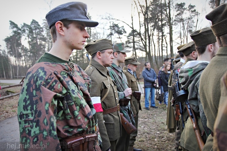 Symboliczne tabliczki Żołnierzy Niezłomnych odsłonięte. Szydłowieckie dęby pomnikami pamięci