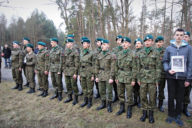 Symboliczne tabliczki Żołnierzy Niezłomnych odsłonięte. Szydłowieckie dęby pomnikami pamięci